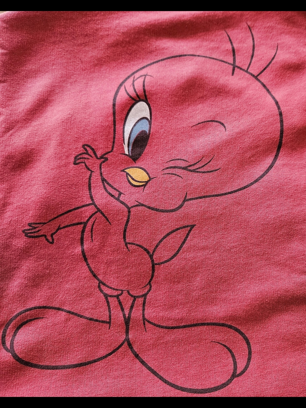 Pink/Red Tweety Bird Graphic Pullover